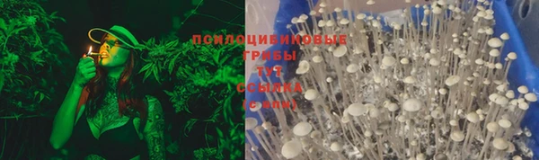 ECSTASY Горнозаводск