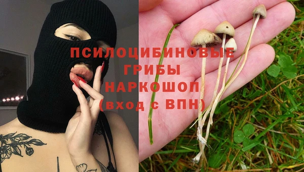 2c-b Горняк
