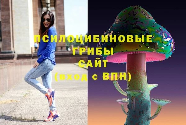 2c-b Горняк