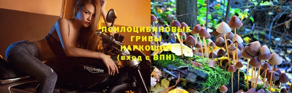 2c-b Горняк