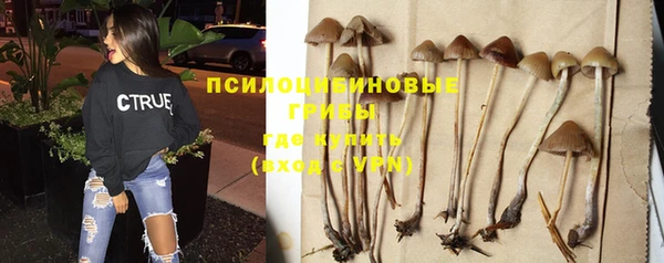 jwh Горно-Алтайск