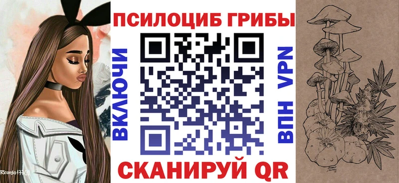 Купить где  Кологрив  Псилоцибиновые грибы MAGIC MUSHROOMS 